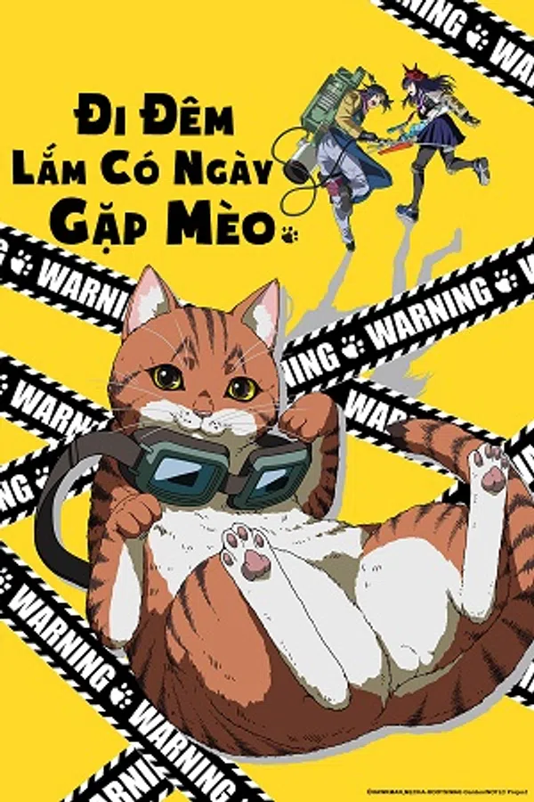 Đi Đêm Lắm Có Ngày Gặp Mèo